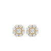 Anika Diamond Earring