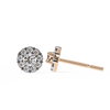 Liv Diamond Earring
