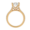 Bridget Solitaire Ring