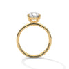Jewel Solitaire Ring