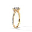Treasure Halo  Ring