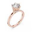 Lacey Solitaire Ring