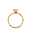 Meilani Solitaire Ring